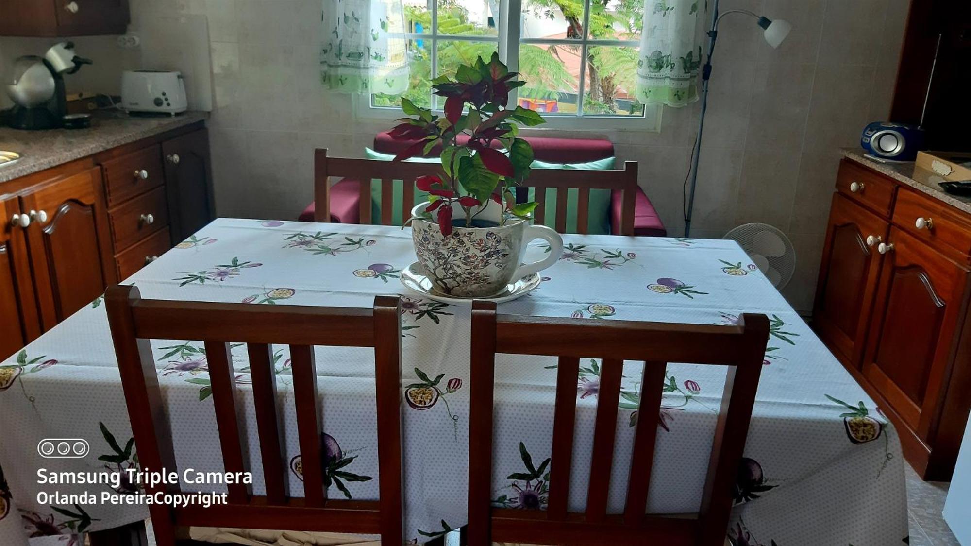 Terra Cha Cottage,Feel Home, Sao Vicente  Luaran gambar