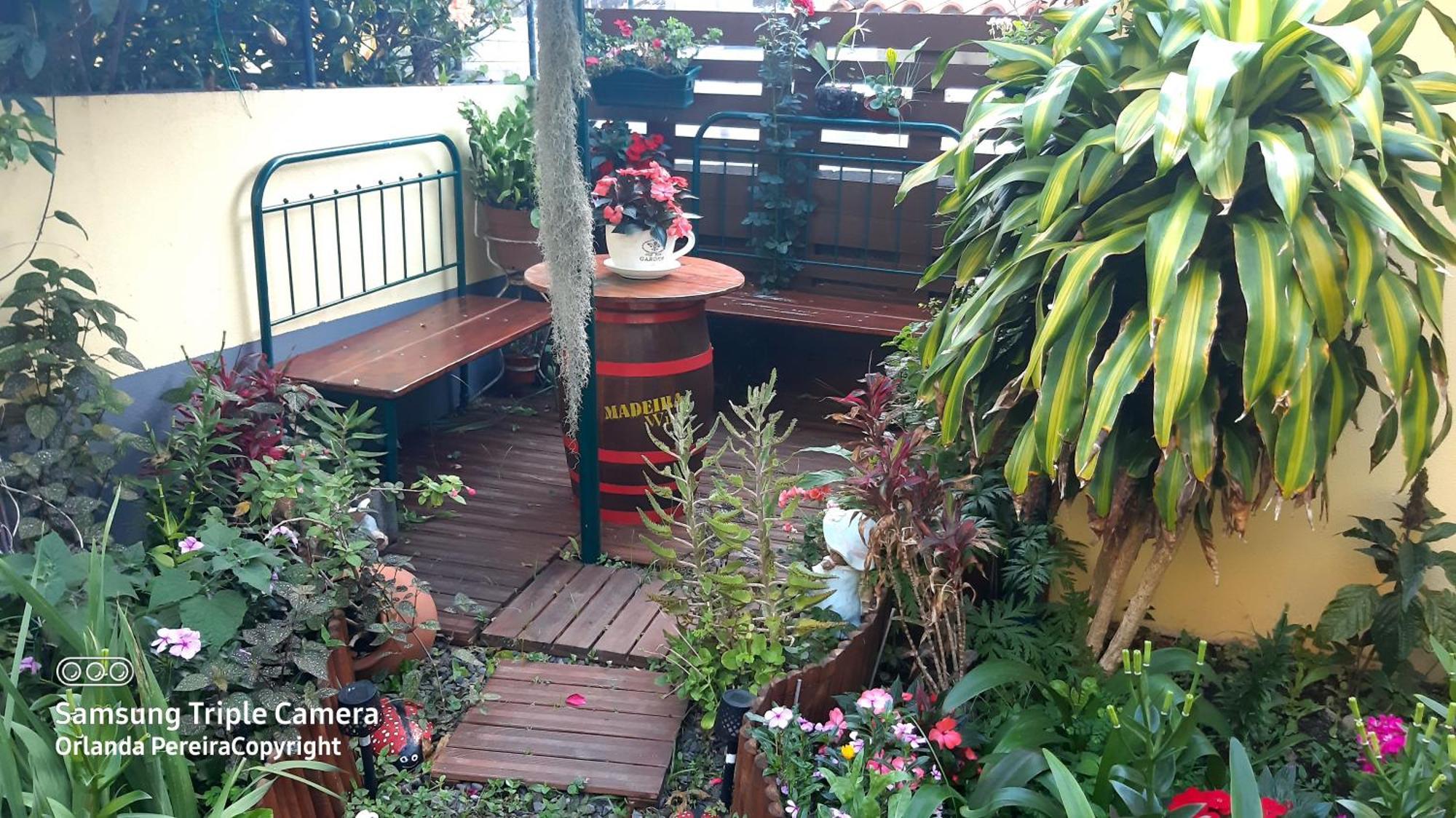 Terra Cha Cottage,Feel Home, Sao Vicente  Luaran gambar