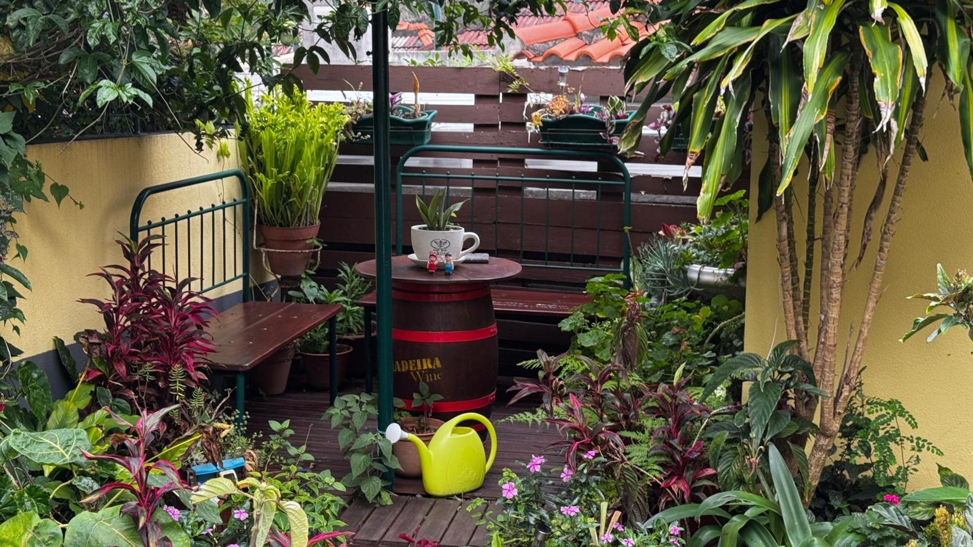 Terra Cha Cottage,Feel Home, Sao Vicente  Luaran gambar